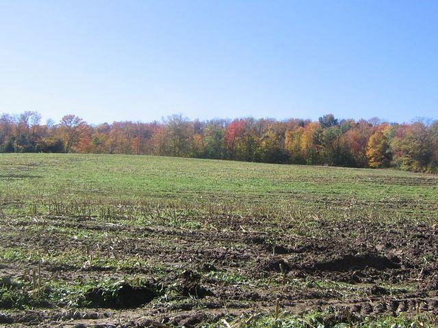 View from entrance of big meadow