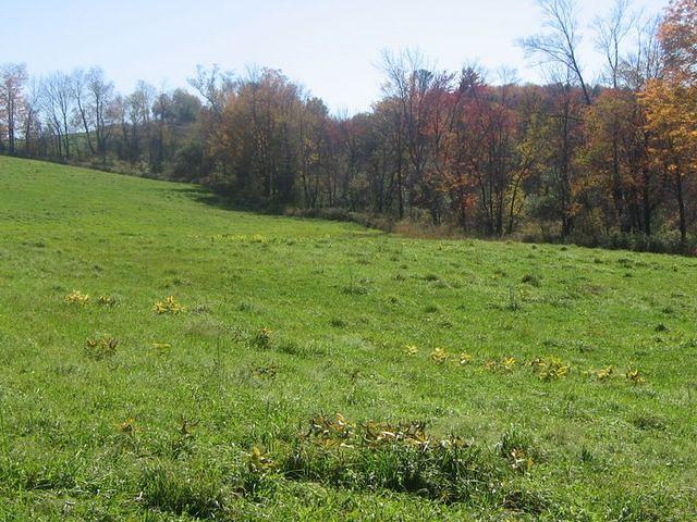 Coming out of the field toward the road from the big meadow