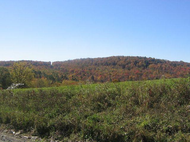 Behind Harford