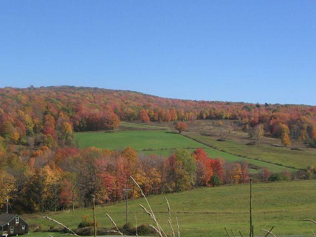 Uncle Fred and Aunt Sharon's road.