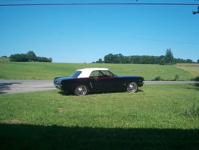 mustang 030