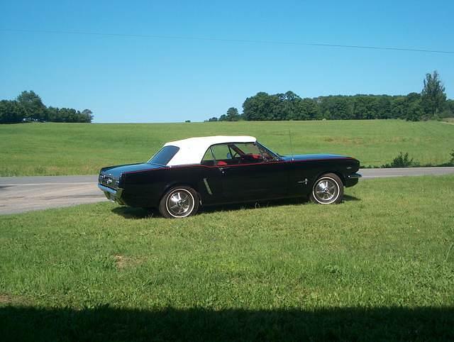 mustang 031