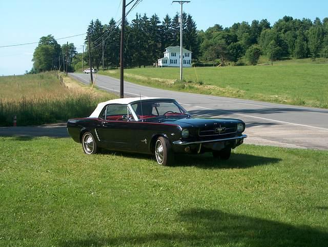 mustang 034
