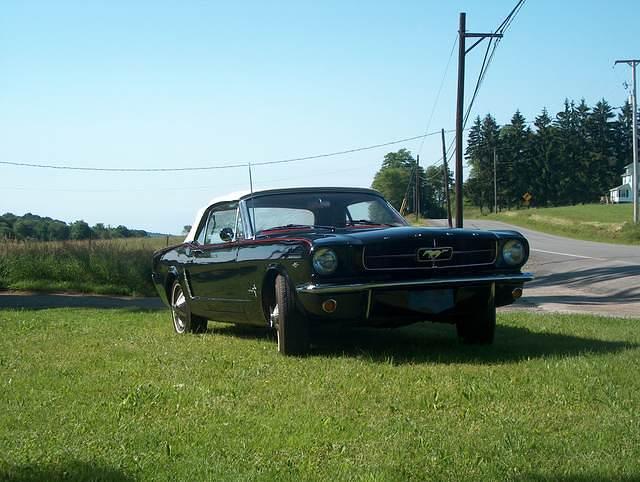 mustang 036