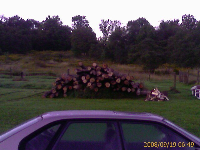 wood