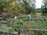 20111006-1547-iPhone_002.jpg