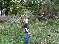 20111006-1547-iPhone_003.jpg