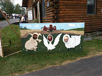 20110824-0759-iPhone_003.jpg