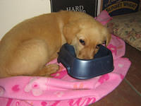 Christmas07 007.jpg