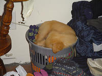 Thanksgiving07 (61).jpg