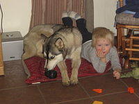 feb2009 017.JPG