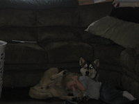 feb2009 056.JPG