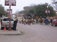feb2009 031.JPG