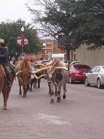 feb2009 032.JPG