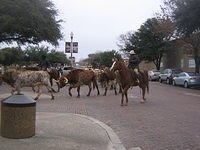 feb2009 033.JPG