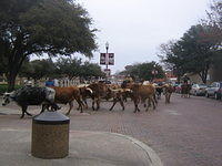 feb2009 034.JPG