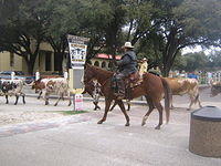 feb2009 035.JPG