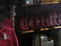 feb2009 036.JPG