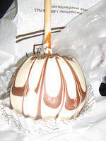 feb2009 050.JPG