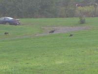 September08 072.JPG