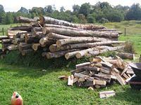September08 083.JPG