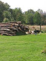 September08 090.JPG