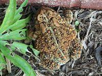 SeptemberII08 005.JPG