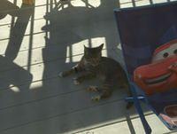 SeptemberII08 042.JPG