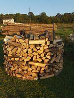 septemberIII08 004.JPG