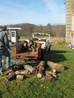 octoberII2008 037.JPG