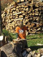 More Wood