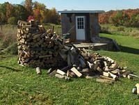 october2008 018.JPG