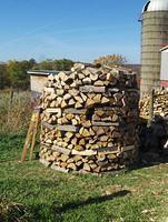 october2008 023.JPG