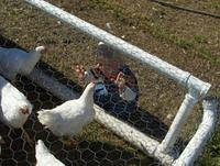 october2008 025.JPG