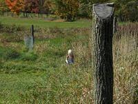 october2008 028.JPG