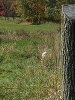 october2008 029.JPG