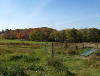 october2008 043.JPG