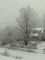 NovemberII2008 014.JPG