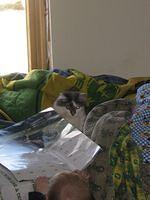 april_june08 143.jpg