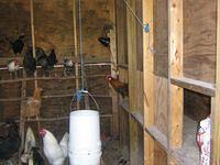 april_june08 203.jpg