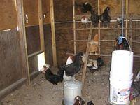april_june08 204.jpg