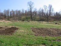 april_june08 205.jpg