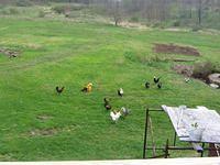 april_june08 245.jpg