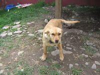 april_june08 247.jpg