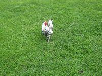 april_june08 249.jpg