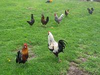 april_june08 250.jpg