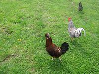 april_june08 251.jpg