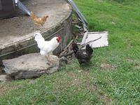 april_june08 252.jpg