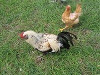 april_june08 253.jpg