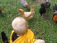april_june08 254.jpg